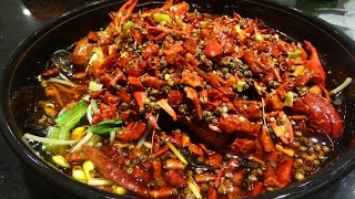eating small lobster กินกุ้งเครฟิช