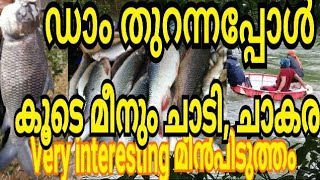 ബാണാസുര ഡാമിലെ മീൻ കൊയ്ത്ത്/Banasura Sagar Dam fishing/heavy fishing banasura Sagar dam/fishing/rive
