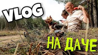 VLOG: МЫ НА ДАЧЕ\ОТКРЫТИЕ СЕЗОНА 2018\