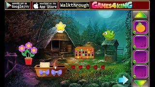 G4K Pirate Girl Escape walkthrough Games4King.