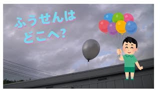 【実験】タコ糸をつけた風船はどうなるのか？？