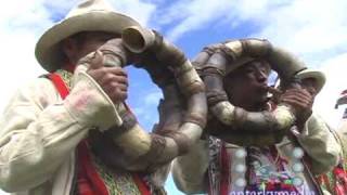 Banda Típica Quiñota Chumbivilcas Cusco Peru