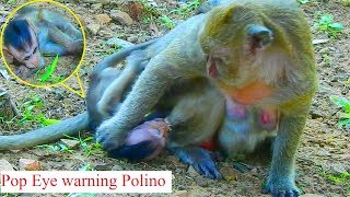Very pity Polino cries seizure cos mom start warning on him / Monkey Post