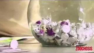 Up-Skirts crazy prank