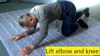 Less: Lift elbow and knee on all four ~gentle twist of spine~ (#Feldenkrais ATM)