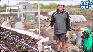 Сад и Огород / Капельный полив из ПВХ труб для теплички с рассадой