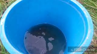 Как сделать самодельную раколовку