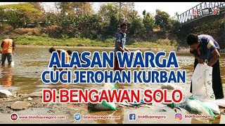 ALASAN WARGA CUCI JEROHAN KURBAN DI BENGAWAN SOLO