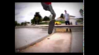 Woodies x Royan skatepark 2012