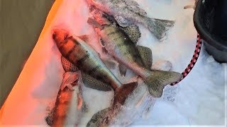 Рыбалка. Волга. Зима 2019 г.//Winter fishing. Volga river 2019.