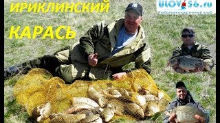 Карась Ириклы. Сборы Улов56. Открытие сезона "Весна 2018"