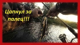 Рыбалка с ночёвкой. День 3 и 4 . Щука укусила за палец.
