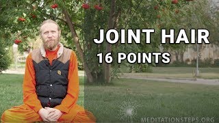 Sixteen points 3. Joint hair