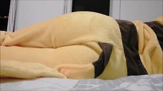 Some Large Pikachu Farts~
