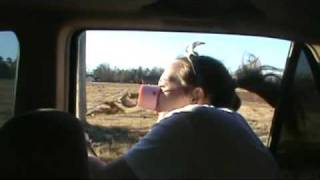 geico piggy commercial class project