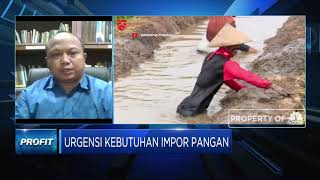 Pengamat: Ada 3 Alasan RI Belum Butuh Impor Beras