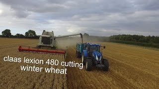 Claas Lexion 480 cutting wheat 2016