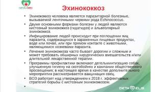 Диагностика эхинококкоза. Doctor Baranova T.N.