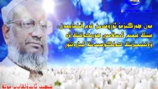 Shehid Abdulqadir Mollining Wesiyiti  -  شېھىد ئابدۇلقادىر موللىنىڭ ۋەسىيىتى