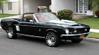 Shelby Convertible, Puerto Rico