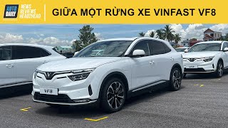 LẠC giữa một RỪNG xe VinFast VF8