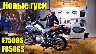 BMW F850GS и F750GS. Подробный обзор новых гусей.