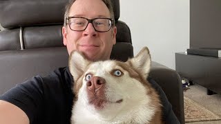 Rescued wobbly dog is living the spoiled life