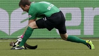 Вратарь поймал куницу вместо мяча!