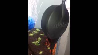 aPUMP