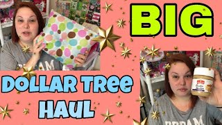 BIG DOLLAR TREE HAUL | NEW ITEMS!!! | DECEMBER 9, 2018
