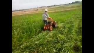 cositoare cu talere pe motocultor pasquali 12cp