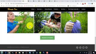 hemp inc stock and bruce perlowin