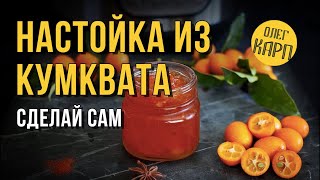 НАСТОЙКА из КУМКВАТА. Это реально Крутой Напиток. // Олег Карп