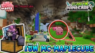 ?ตะลุยเซิฟ: MC-MapleCube แนว MMORPG ตีมอนสเตอร์ เก็บเลเวล สุดสนุก!! (เวอร์ชั่น1.12.2)?
