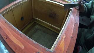 О способе зимовки моих пчел. Прикарпатская пасека №48 Пчеловодство в Украине.