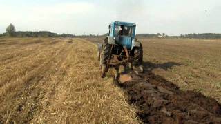 Old, reliable tractor Belarus Mtz 52