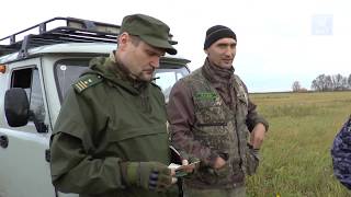 Вместо трофея штраф. Чем закончилась «охота» на браконьеров?