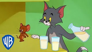 Tom y Jerry en Español | Tom & Jerry en pantalla completa
