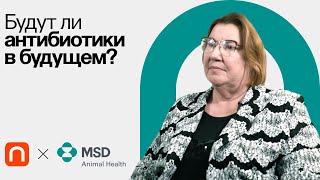 Как резистентность к антибиотикам меняет подходы к терапии / Ирина Петухова на ПостНауке