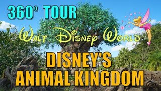 Walt Disney World Animal Kingdom - 360 Degree Virtual Tour