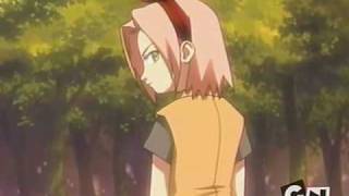 SakuIno - Right Kind of Wrong
