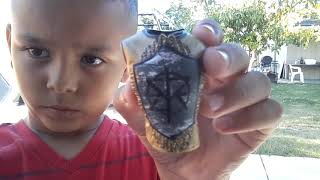 I got a wwe toy seth rollins series 57 elet
