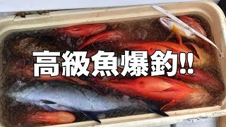 ジギングしたら沖縄の高級魚がたくさん釣れた