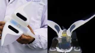 Self-powered soft robot in the Mariana Trench