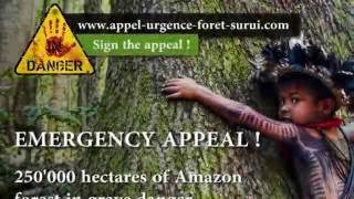 Emergency Appeal of the Surui indigenous people