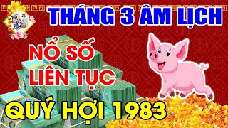Tháng 3 ÂL Tuổi Quý Hợi 1983 Lộc Trời Rơi Trúng Đầu, Làm Ăn Trúng Đậm, Tiền Về Chất Đầy Két