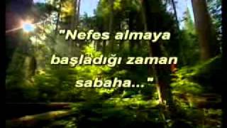 Kuran mucizeleri 4