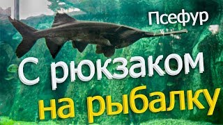 Русская Рыбалка Installsoft Edition 3.7.6 Янцзы - КВ: Псефур