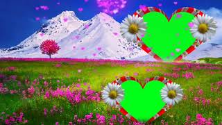 Wedding green screen background effect / shaadi heart background effect.