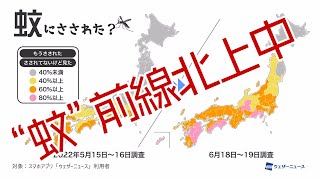 “蚊”前線北上中　全国で6割以上が蚊にさされた・目撃と回答